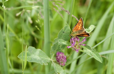 Similar image 686258