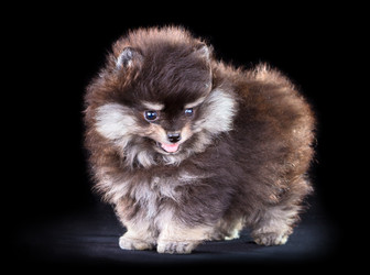 Similar image 686261