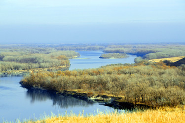 Similar image 686295