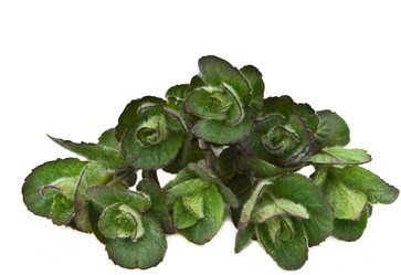 Similar image 686316