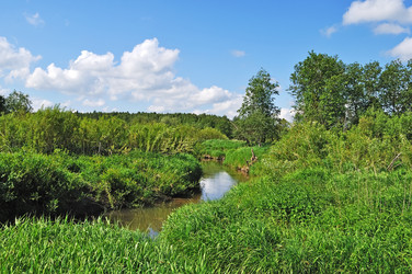 Similar image 686429