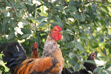 Similar image 686467