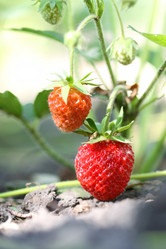 Similar image 686468