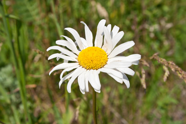 Similar image 686473