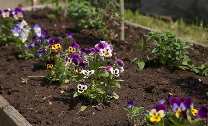 Similar image 686489