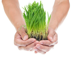 Similar image 686491