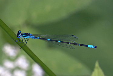 Similar image 686492