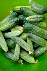 Similar image 686513