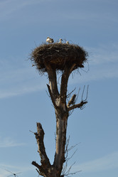 Similar image 686548