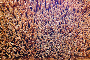 Similar image 686560