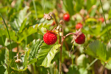 Similar image 686680