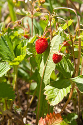 Similar image 686687