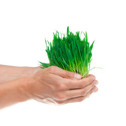 Similar image 686710