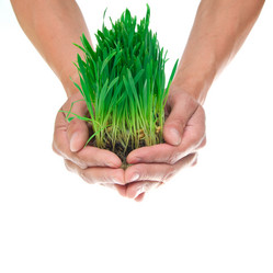 Similar image 686711