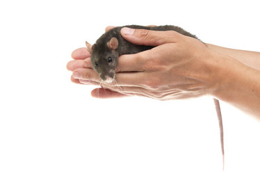 Similar image 686714