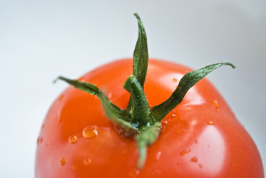 Similar image 686723