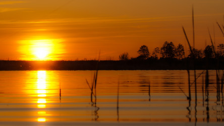 Similar image 686782