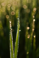 Similar image 686787