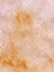 Similar image 686847