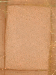 Similar image 686850