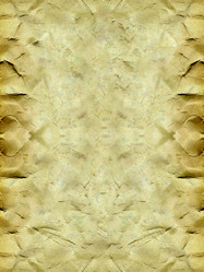 Similar image 686851