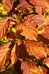 Similar image 686934