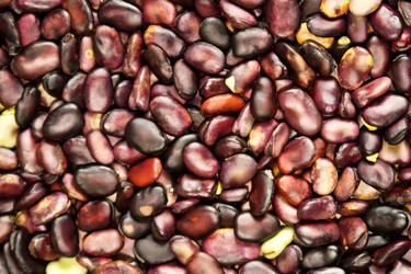 Similar image 686937