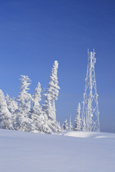 Similar image 686940