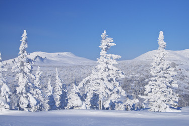 Similar image 686941