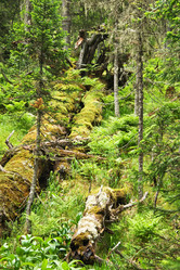 Similar image 686943