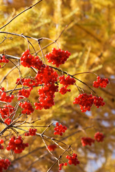 Similar image 686970