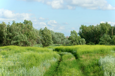 Similar image 686974