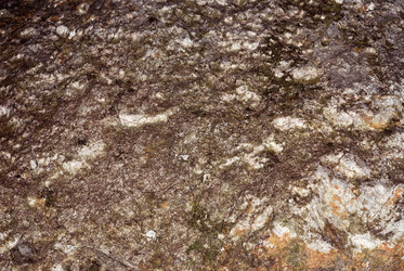 Similar image 686988