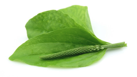 Similar image 687169