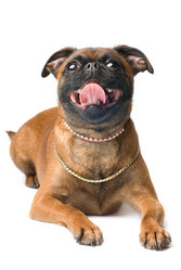 Similar image 687185