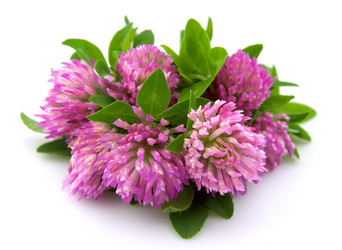 Similar image 687194