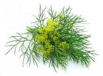 Similar image 687212