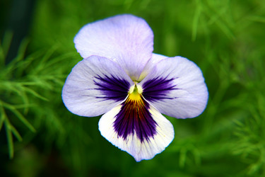 Similar image 687320