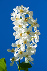 Similar image 687377