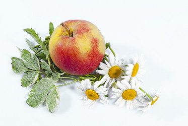 Similar image 687382