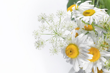 Similar image 687384