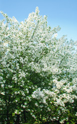 Similar image 687390