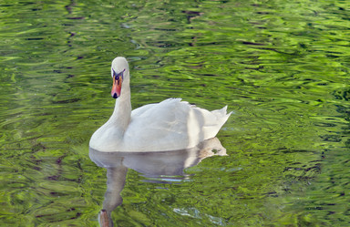 Similar image 687414