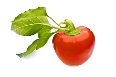 Similar image 687428