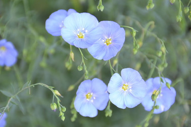 Similar image 687475