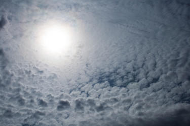 Similar image 687547