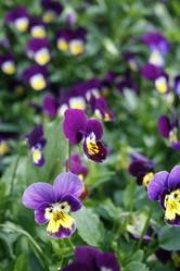 Similar image 687551