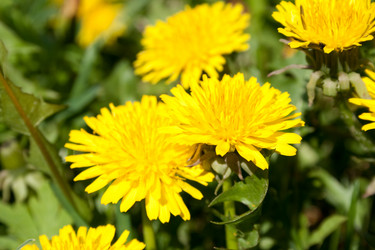 Similar image 687553