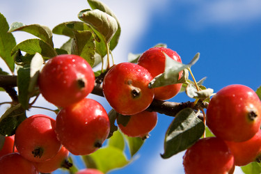 Similar image 687559