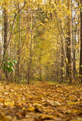 Similar image 687599